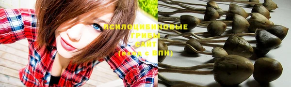 марки nbome Алексеевка