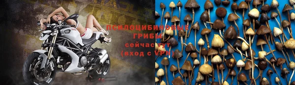 трава Алексин