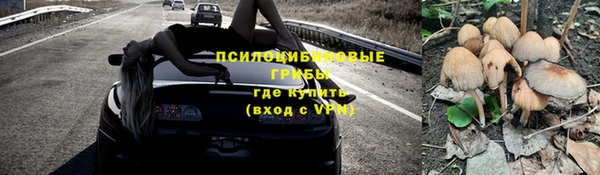 a pvp Алзамай