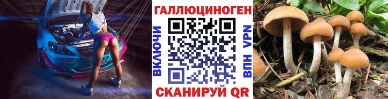 Галлюциногенные грибы Psilocybine cubensis  где продают наркотики  Якутск 