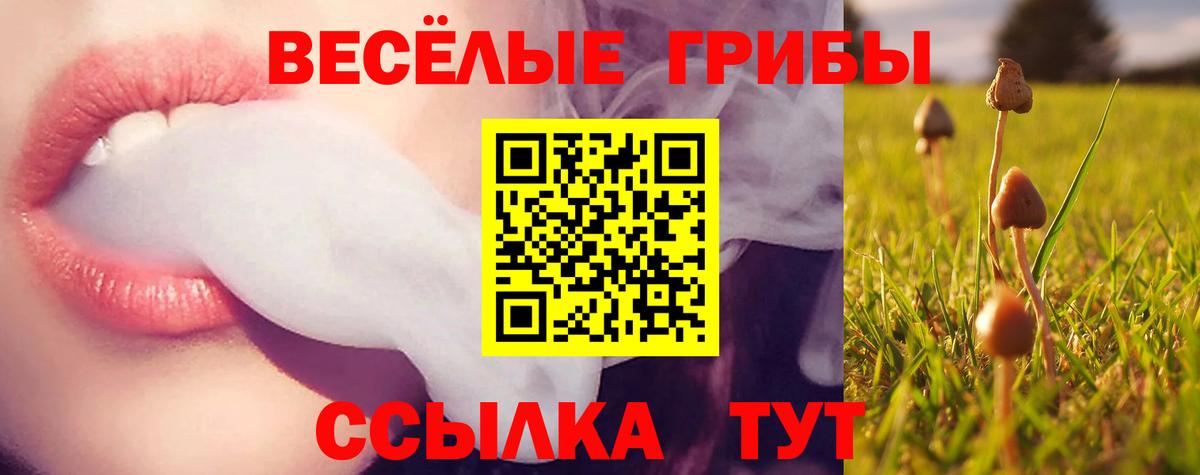 Якутск  Галлюциногенные грибы Cubensis  Вход с VPN 